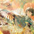 37.5℃のファンタジー.png